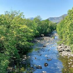 View down the River Greta