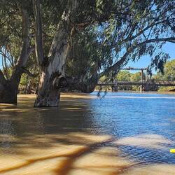 Local flooding, Up a few meters from normal.