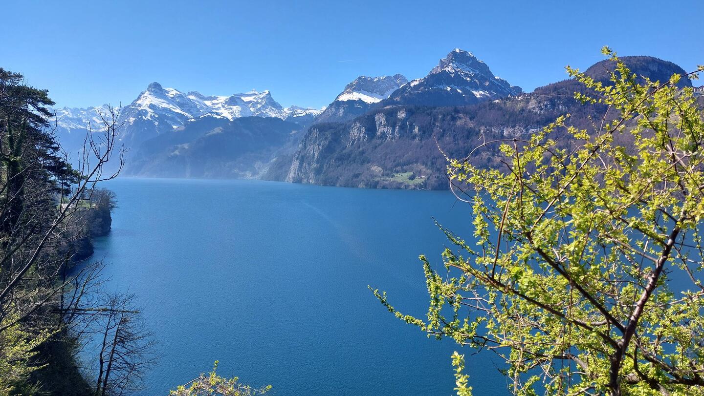 Kurzer Stopp am Vierwaldstätter See, weil es hier so schön ist.