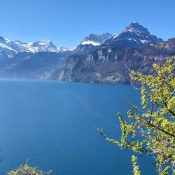 Kurzer Stopp am Vierwaldstätter See, weil es hier so schön ist.