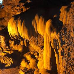 draperies en fleur de lotus