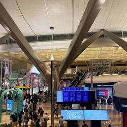 Zayed International Airport