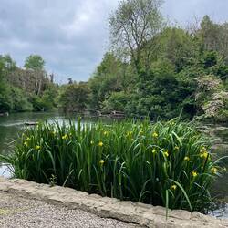 Vinters Valley Nature Reserve