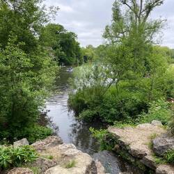 im Mote Park