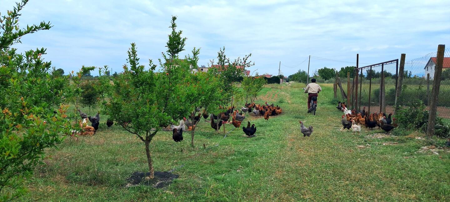Mit dem Radl vom Campingplatz in die Stadt Shkodra