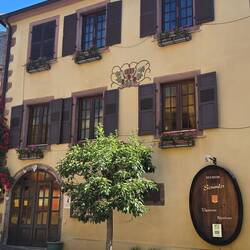 Lots of wine merchants selling bottles direct to the public in the village