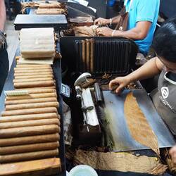 Teamarbeit: MA1 blaues T-Shirt stellt den Innenteil her, MA2 schneidet und rollt das Deckblatt