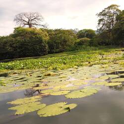 Lago Nicaragua