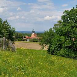 Zwiebeltürmchen, immer wieder schön.