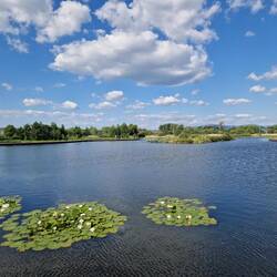 Tralee Bay Wetlands