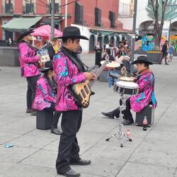 Ich habe über 10 Gruppen auf dem Platz gezählt.