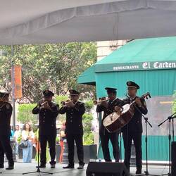 Orchesterauftritt im Zelt