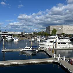 C-Traveler in the slip