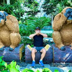 The three wise monkeys