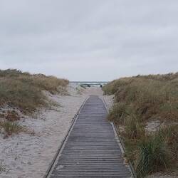 Dueodde Strand