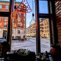 Cavallino N.2 in Nørrebro