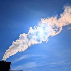 If the Native Americans could actually decipher that?