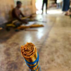 Finished cinnamon bark is rolled for export and commerce