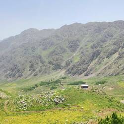 fast chlii wie in der Schweiz 🤣