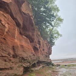 More rock formations at low tide