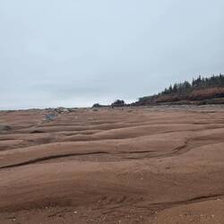 Sand formations from the tides