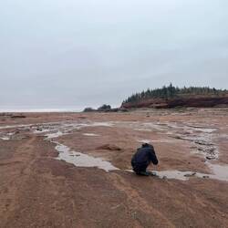 Maggie on the hunt for rocks to take home