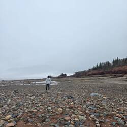 Colourful rocks line the beach at low tide