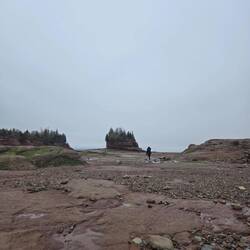 The ocean floor at low tide featuring the cool rock island