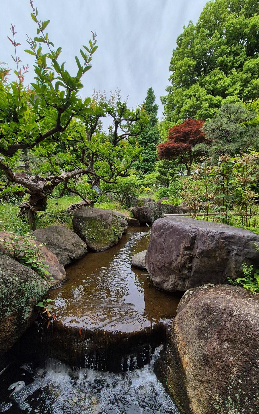 青嵐句碑