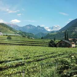 Bigger, rugged peaks near Bolzano