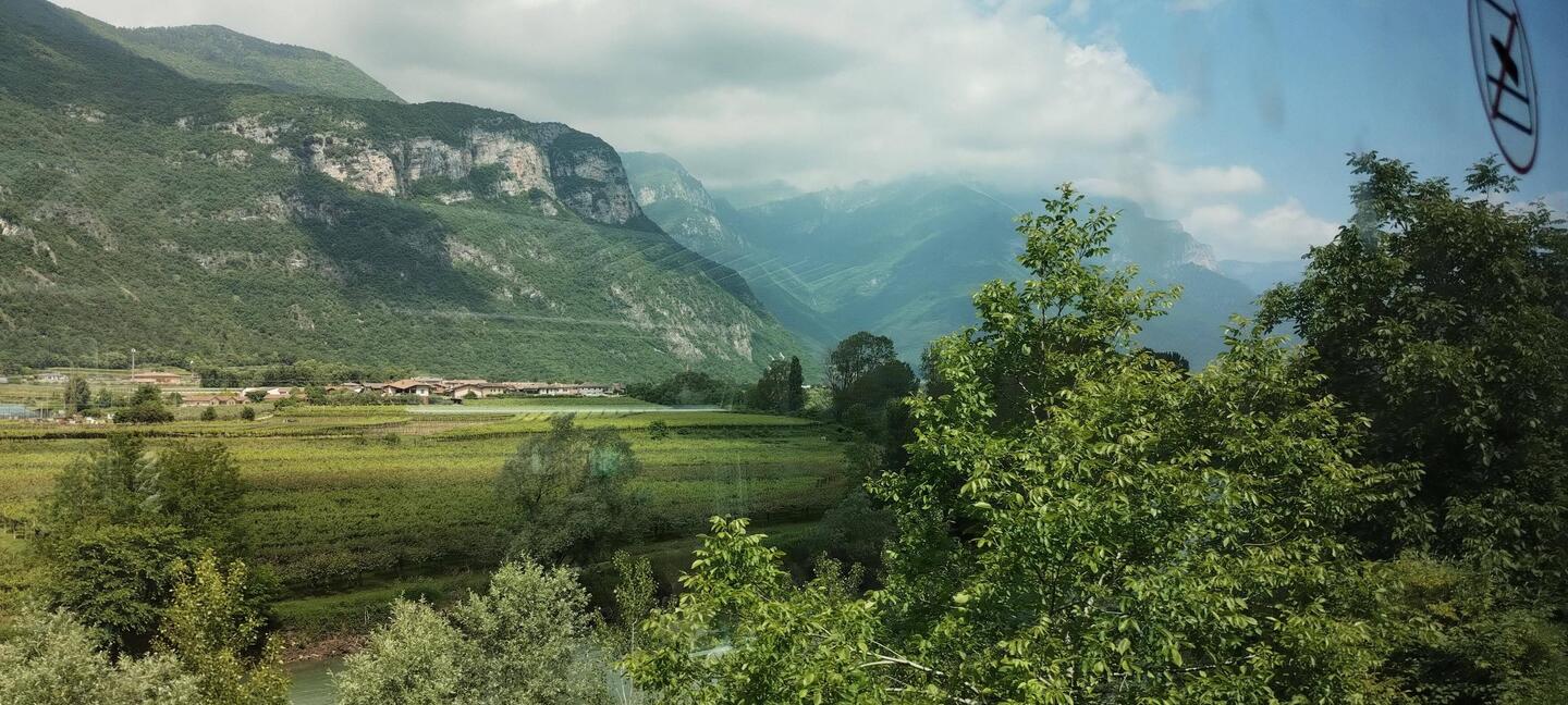 Vines and dolomite near Trento