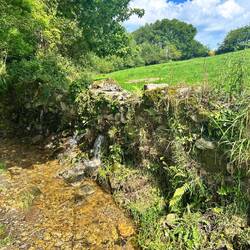 Hard to see, but there were several spouts of water coming out of the rock retaining wall.