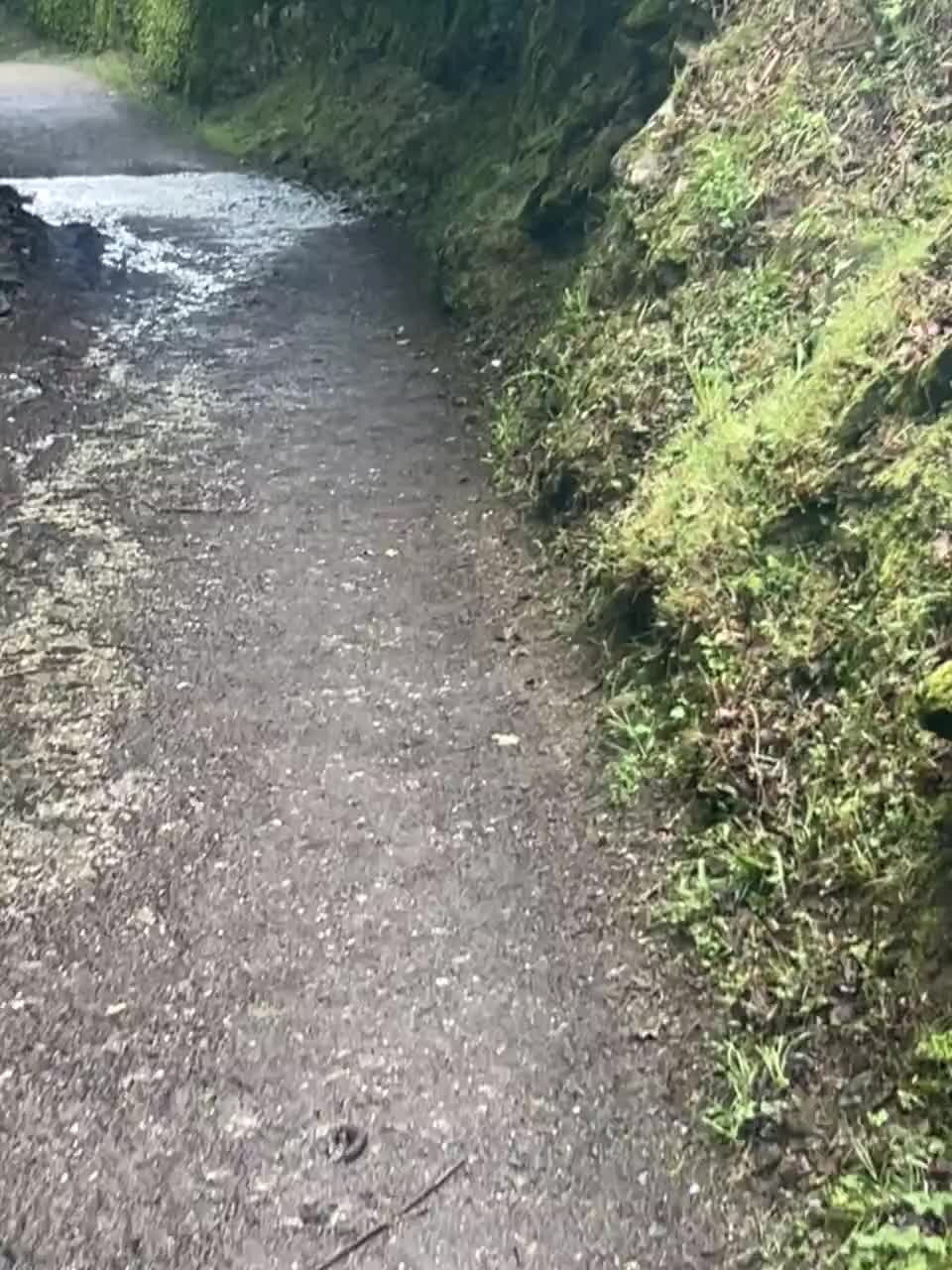 Cute bird let me follow him a bit.