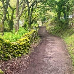 Lots and lots of pretty green mossy walls today