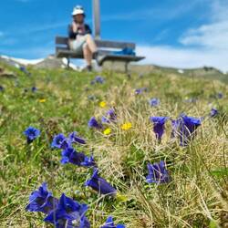 Bergfrühling!