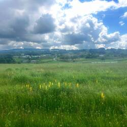 The clouds threatened, but never released a drop on me all day.