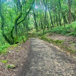 I'm glad I took the complementario route from Portomarin