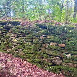 So many mossey green rock walls!