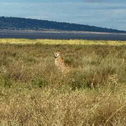 Guck mal wer da guckt!