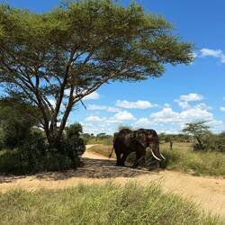 Man ist nie alleine als Verkehrsteilnehmer.