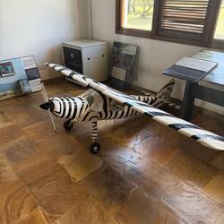 Im Parkmuseum ist ein Teil den Gzimeks gewidmet.