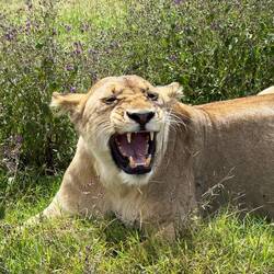 "Ich kann auch böse gucken"!