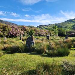 The Stone Circle