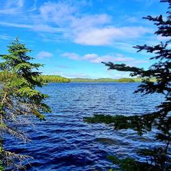 Mavis Lake