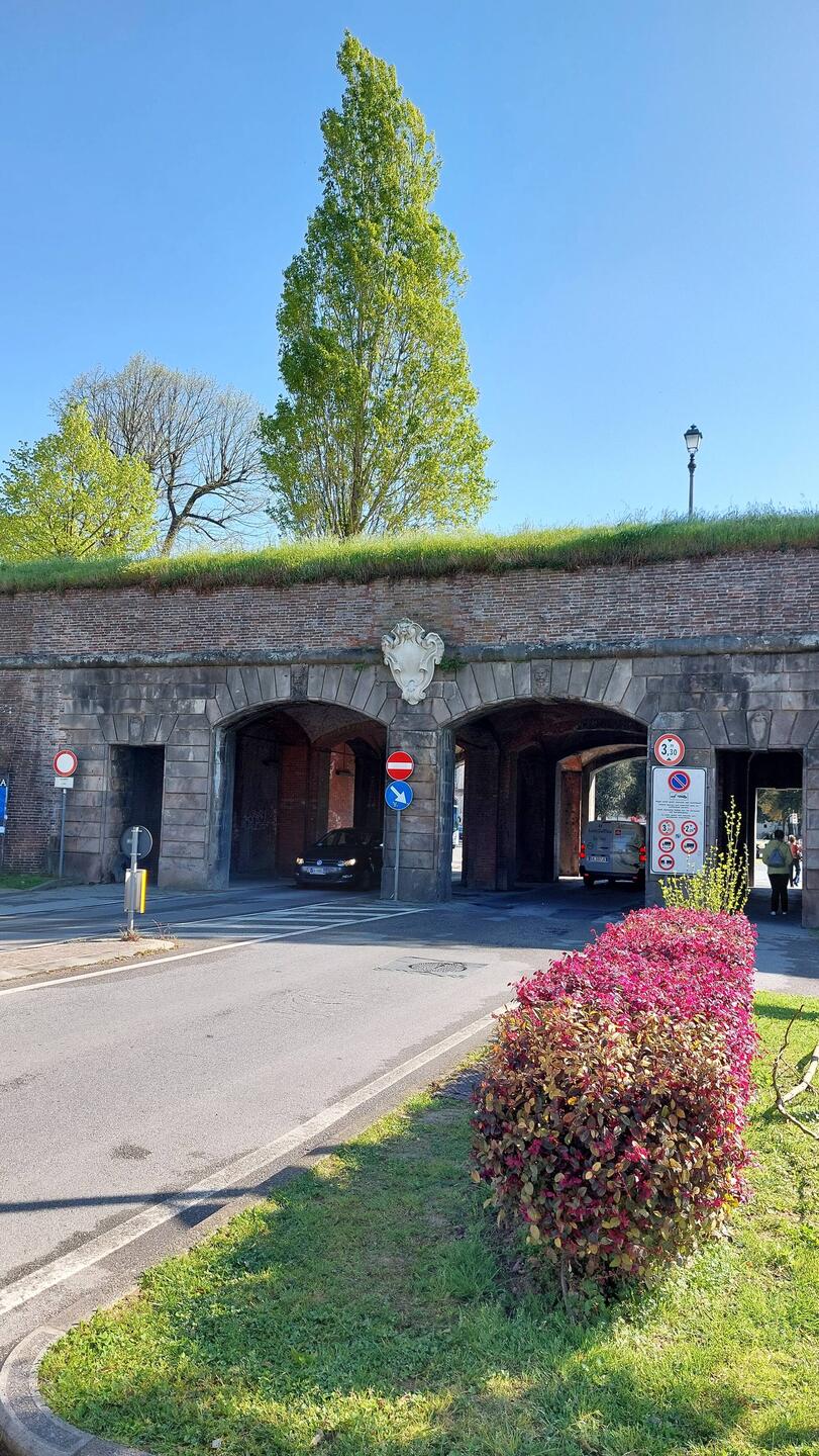 Eines der Stadttore von Lucca