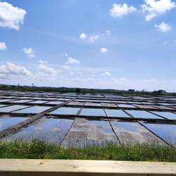Hier wird Meersalz gewonnen, einfach Meerwasser durch die Becken pumpen und verdunsten lassen.