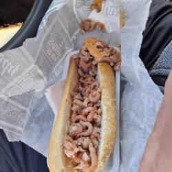 Krabbenbrötchen muss sein