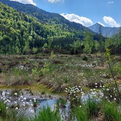 Es führt ein Pfad mittendurch....
