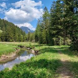 Die Aurach durchfließt ein Moorgebiet.