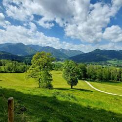 Die Wege bleiben super schön.